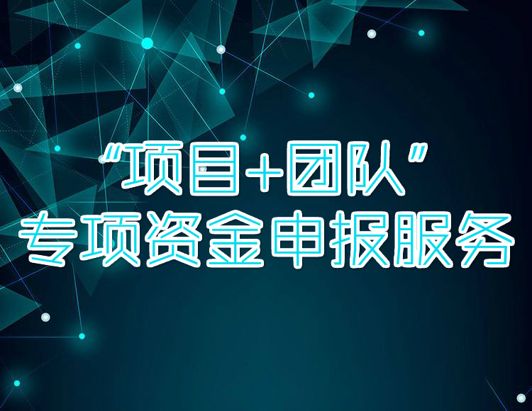 “项目+团队”专项资金申报服务【国企背景、品质服务】(咨询服务)